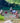River Access Day Pass