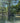 Day Camping_tax_Gruene (Weekend)